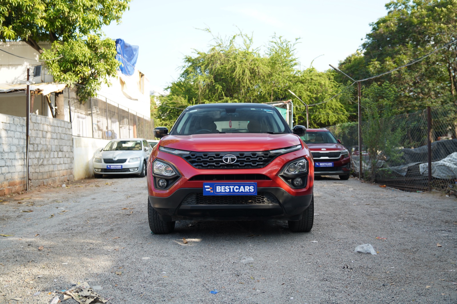 Car photo